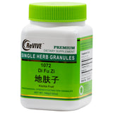 Di Fu Zi